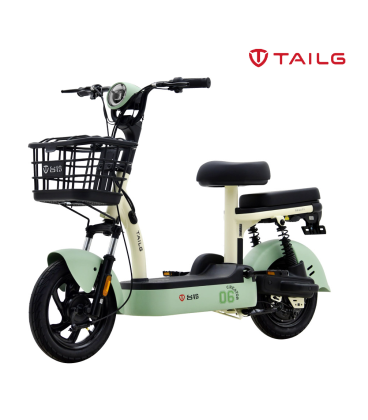 TAILG SHAME LEAD ACID 25km/h