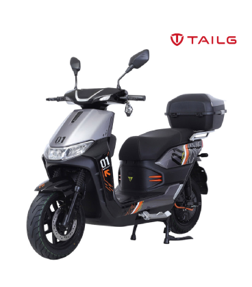 TAILG T70 GRAPHENE 25km/h