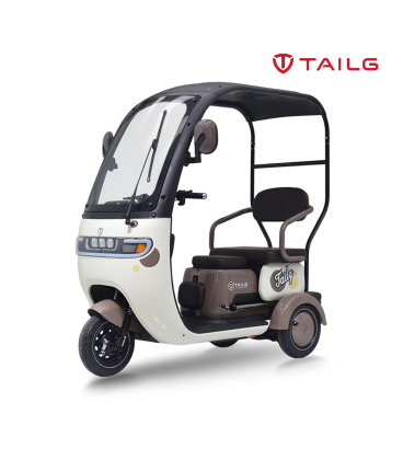 TAILG X4 LEAD ACID 25km/h TAILG X4 LEAD ACID 25km/h