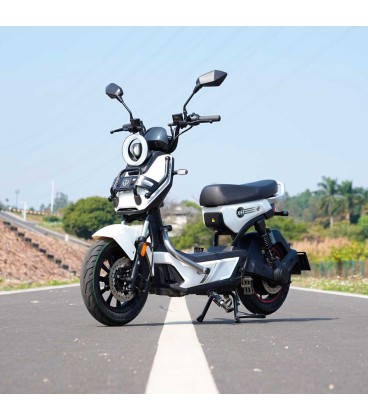 TAILG X51 GRAPHENE 25km/h